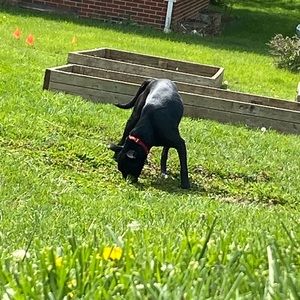 Meet your Posher, Ellie